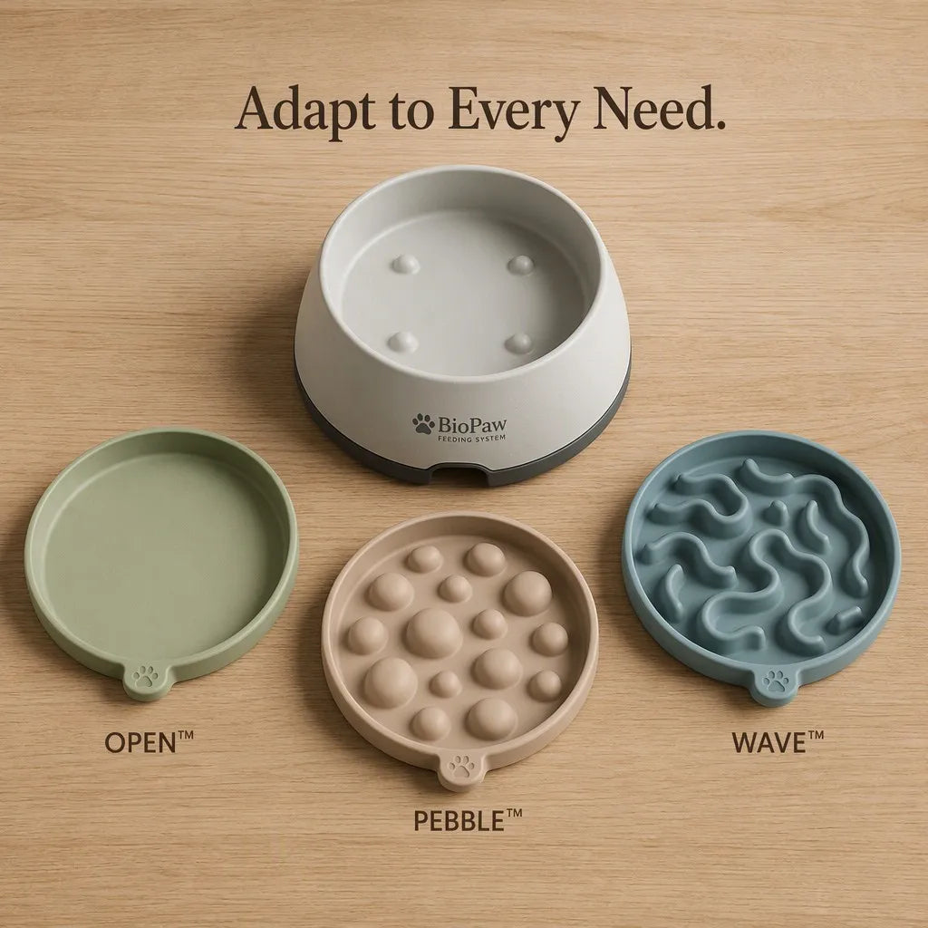 BioPaw Component Flat Lay - Base and 3 Inserts