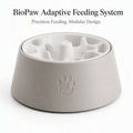 BioPaw Lab Adaptive Feeding System - Hero Image